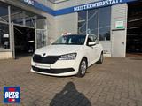 Skoda Fabia 1.0 MPI KLIMA+PDC+MF-LENKRAD+HU NEUActive - Skoda Fabia Gebrauchtwagen in Braunschweig