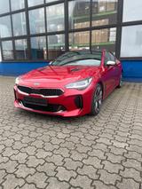 Kia Stinger 3.3 T-GDI AWD GT GT - Kia Stinger von privat
