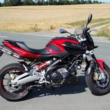 Aprilia Shiver 750 ABS mit Sportauspuff - APRILIA SHIVER 750