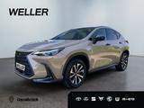 Lexus NX 350h E-FOUR Overtrail *Pano*HUD*Mark Levinson - Lexus NX 350h Jahreswagen