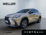 Lexus NX 350h E-FOUR Overtrail *Pano*HUD*Mark Levinson - Lexus aus 2024: Nx