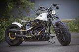 Harley-Davidson Springer Umbau Bobber Softail Custom  - HARLEY-DAVIDSON SPRINGER SOFTAIL