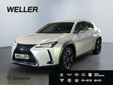 Lexus UX 250h Style Edition *Bi-LED*ACC*CAM*SHZ*CarPla