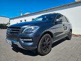 Mercedes-Benz 250 CDI BlueTec*Pano*Alcantara*Klimaautomatik - Mercedes ML-Klasse bis 15.000 Euro