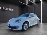 Volkswagen New Beetle Beetle 1.4 TSI Design Xenon/Tempom... - VW New Beetle Gebrauchtwagen