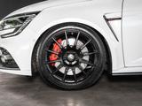 Renault Megane R.S. Trophy TCe 300  *BOSE*H&R*SPORTSITZ* - Renault Megane mit Benzin-Antrieb: Limousine