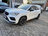 Cupra Ateca Basis 4Drive+Navi+Kamera 360°+Panorama+LM - Cupra Ateca in Stuttgart