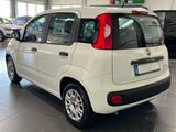 Fiat Panda 1.0 Urban **5-Türig*Klima*PDC** - Fiat Panda: 5.5