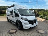 Weinsberg CaraBus 600 MQ Automatik, Aufstelldach - Angebote