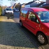 Volkswagen VW Caddy Life 1,9 TDI DPF 55 kW Familienau... - Volkswagen Caddy: Familien