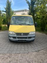 Fiat Ducato - Fiat Ducato in Freiburg