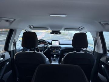 Ford Focus - 6