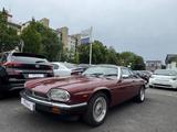 Jaguar XJS #Aut.# *H-Kennzeichen*Tüv  11/2027*Leder* - Jaguar XJS Gebrauchtwagen