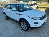 Land Rover Range Evoque 2.2 TD4 5p. 4x4 solo 97. - gebrauchte Land Rover Kombis