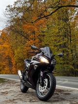 Kawasaki Ninja 300 ABS - KAWASAKI NINJA 300