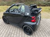 Smart Brabus Cabrio 60kW mit 22KW Bord-Lader - Smart ForTwo: La