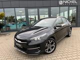 Kia XCeed Spirit*Led*T-Leder*Kamera*Acc* - Kia XCeed Spirit mit Benzin-Antrieb
