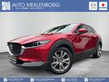 Mazda CX-30 "SELECTION" 2.0l "DES-P" Hybrid - Mazda CX-30 Gebrauchtwagen in Berlin