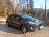 Ford Fiesta 1,0 EcoBoost 70kW Trend Winterpaket