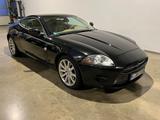 Jaguar XK8 top gepflegt/ scheckheftgepflegt - Jaguar XK8 Gebrauchtwagen