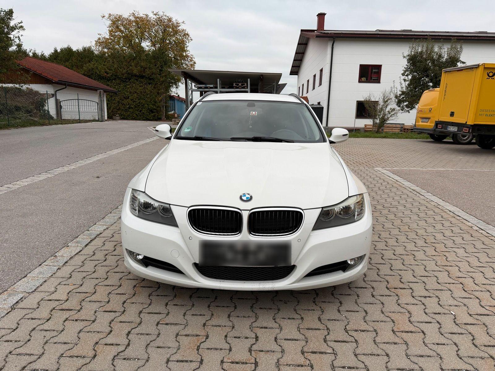 BMW 318 2010 — rear view