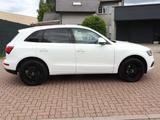 Audi Q5 2.0 TFSI quattro+BI-XEN.+PANO+Totwinkel+LEDER - gebrauchte Audi Q5 aus dem Jahr 2015