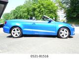 Audi A3 TDI Cabriolet S-tronic  "Sport"  STANDHEIZUNG - Audi: Cabrio, TDI