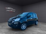 Fiat Panda 1.2 Easy 1.HAND KLIMA RADIO SERVO SERVICE - Fiat Panda aus 2015