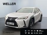 Lexus UX 250h Amazing Edition *Kamera*SHZ*PDC*LED*TOP* - Lexus UX aus 2020