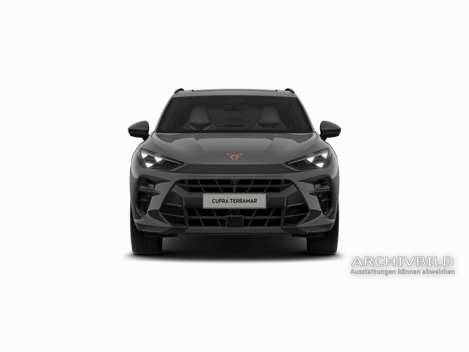 Cupra Terramar - Bild 7