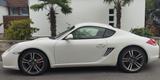 Porsche Cayman S 987.2, Chrono, PDK, wenig km unfallfrei - Porsche: 987