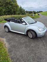 Volkswagen VW Beetle Cabrio - Volkswagen Beetle aus 2006: Cabrio