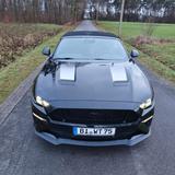 Ford Mustang 5.0 Ti-VCT V8 GT Auto GT  - Ford Mustang Gebrauchtwagen in Bielefeld