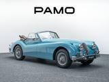 Jaguar XK 140 DHC SE Nut and Bolt Restaurierung - Jaguar aus 1955