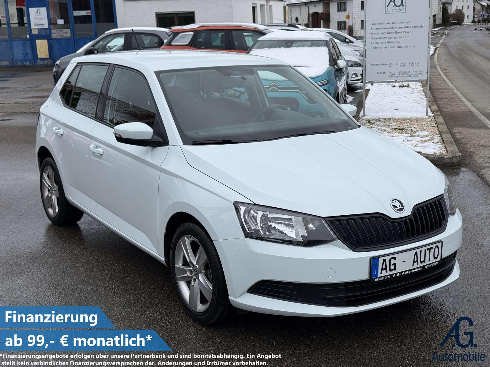 Skoda Cool Edition TÜV+Service NEU