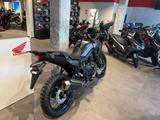 Honda XL750 Transalp E-Clutch *Tageszulassung 06-26* - HONDA 750