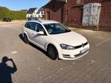 Volkswagen Golf VII 1.6 TDI DSG BMT ALLSTAR Variant 