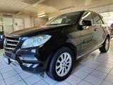 Mercedes-Benz ML 350 CDI BlueTEC *Navi*PDC*Teilleder*Parkassis
