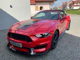 Ford Mustang GT 350  SHELBY unfallfrei - Ford Mustang: Shelby Gt350
