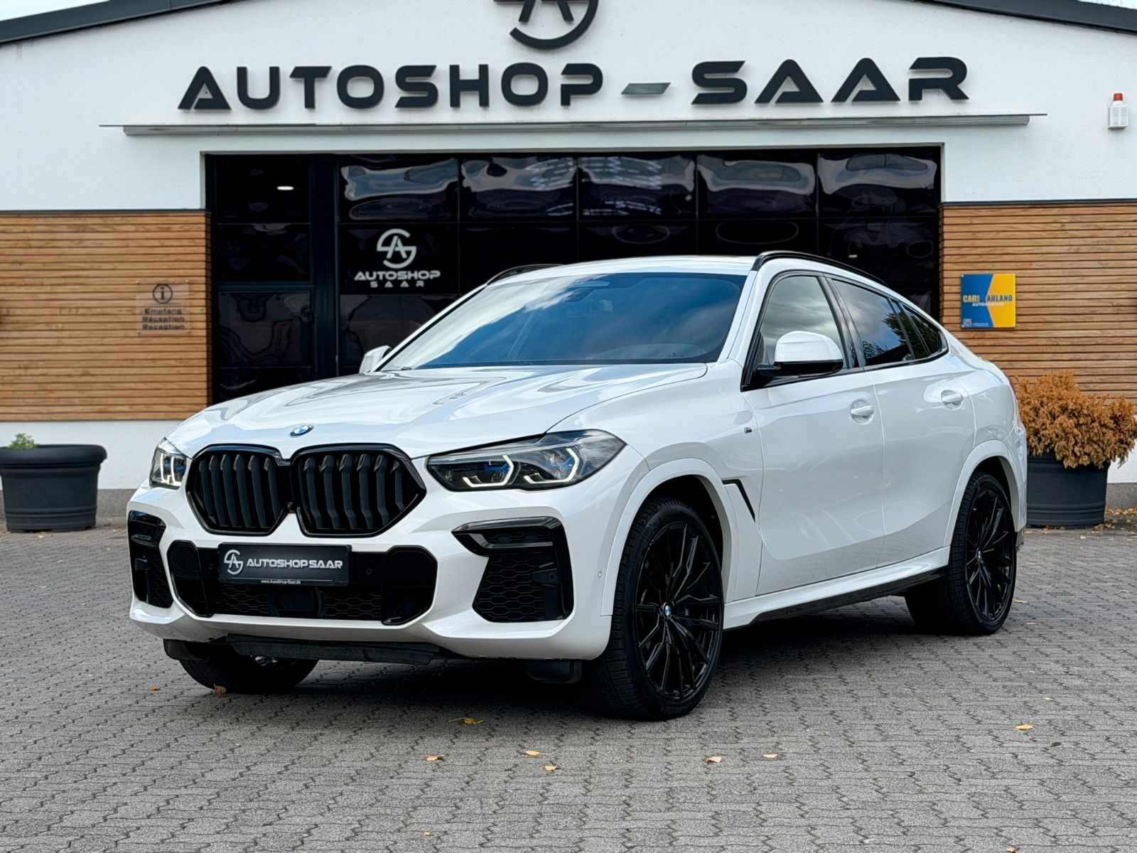 BMW BMW X6 M50 i H&K/PANO/LASER/HUD