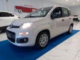 Fiat Panda 1.2 GPL - Fiat Panda mit LPG-Antrieb