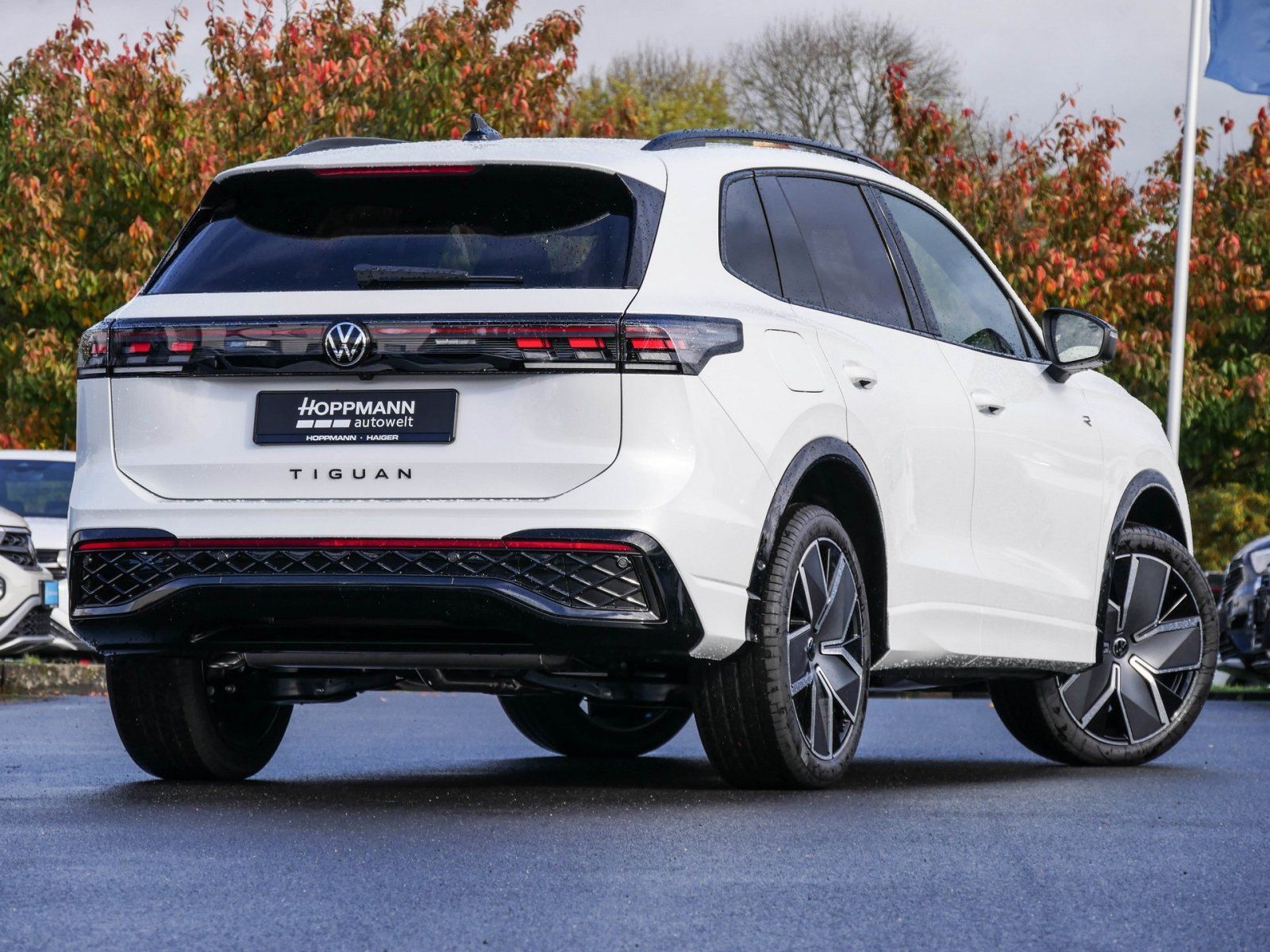 Volkswagen Tiguan - Bild 2