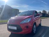 Ford Ka Trend/ZAHNRIEMEN+WP NEU/SERVICE NEU/GEPFLEGT - Ford aus 2010: Ka