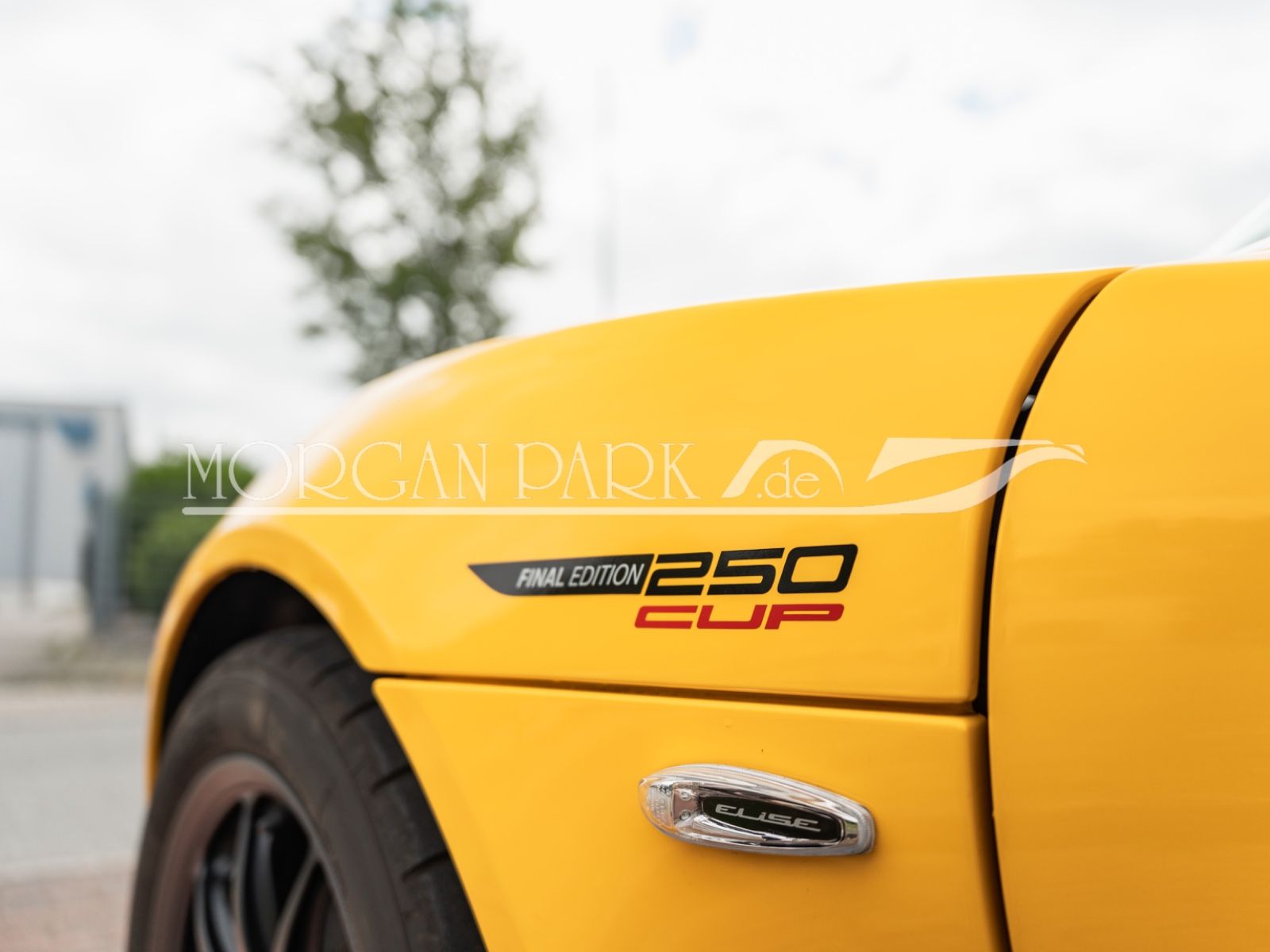 Fahrzeugabbildung Lotus Elise CUP 250 Final Edition