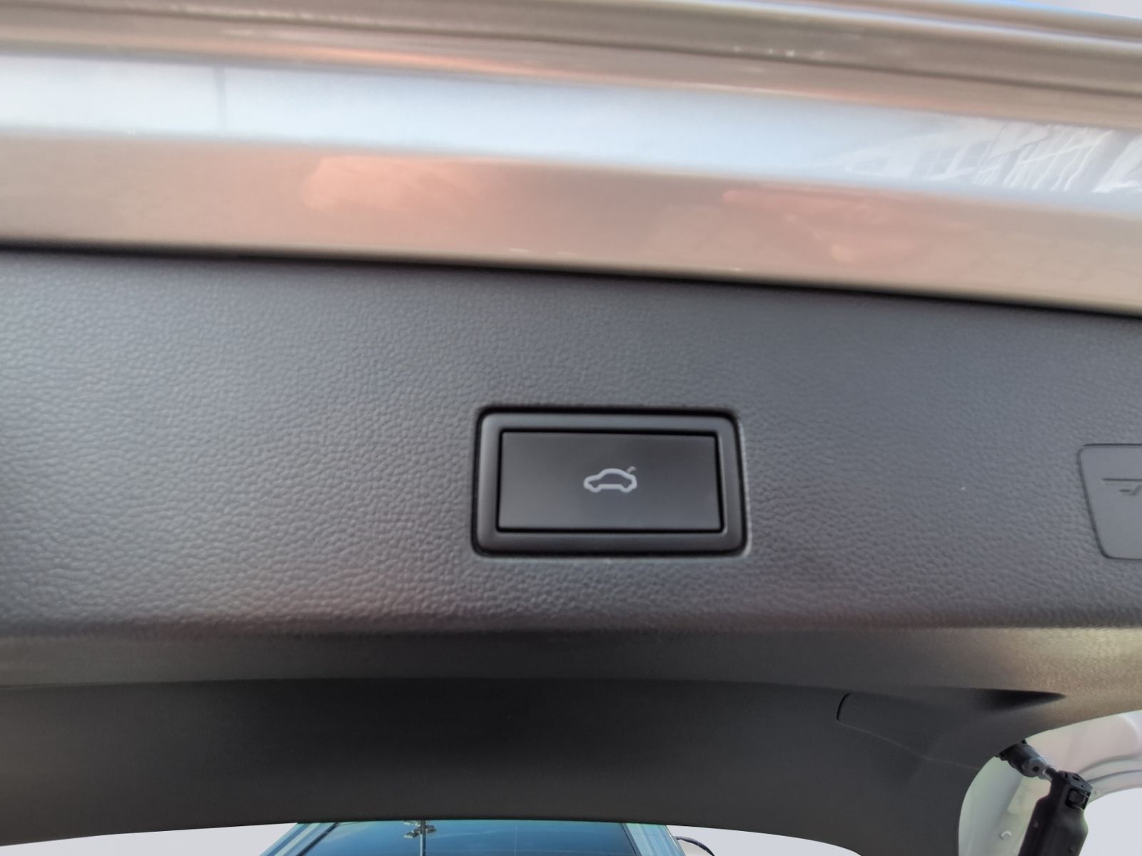 Golf VIII Alltrack 2.0 TDI DSG KAMERA+PANO+STHZ