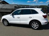 Audi Q5 2.0 TDI quattro -Designpaket/Navi/Xenon/AHK - Audi Q5: Weiß