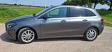 Mercedes-Benz B 200 4MATIC Progressive/Allrad/Vollleder/Auto.