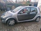 Smart SMART  FORFOUR 1,3 - Smart ForFour: 1.3