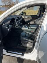 Audi Q7 3.0 TDI quattro tiptronic - - Audi Q7: Weiß
