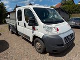 Fiat Ducato DOKA Pritsche, 7 Sitzer - Offers matching your search criteria